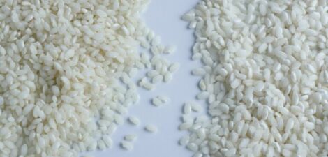 riz arborio et riz carnaroli pour risotto