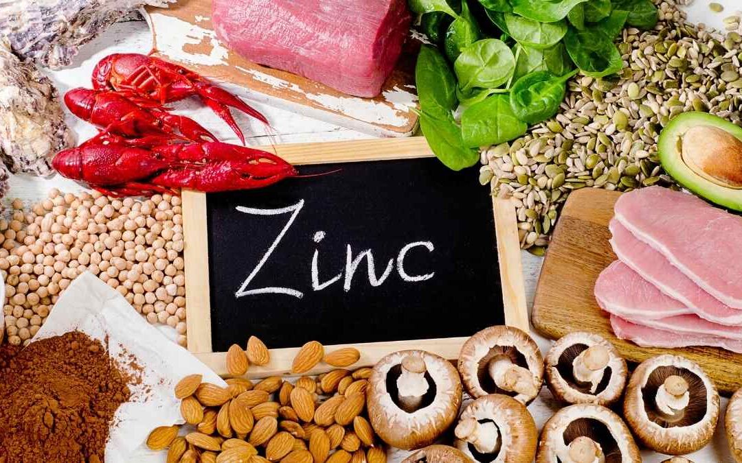 Aliments riches en zinc : guide complet pour une bonne santé